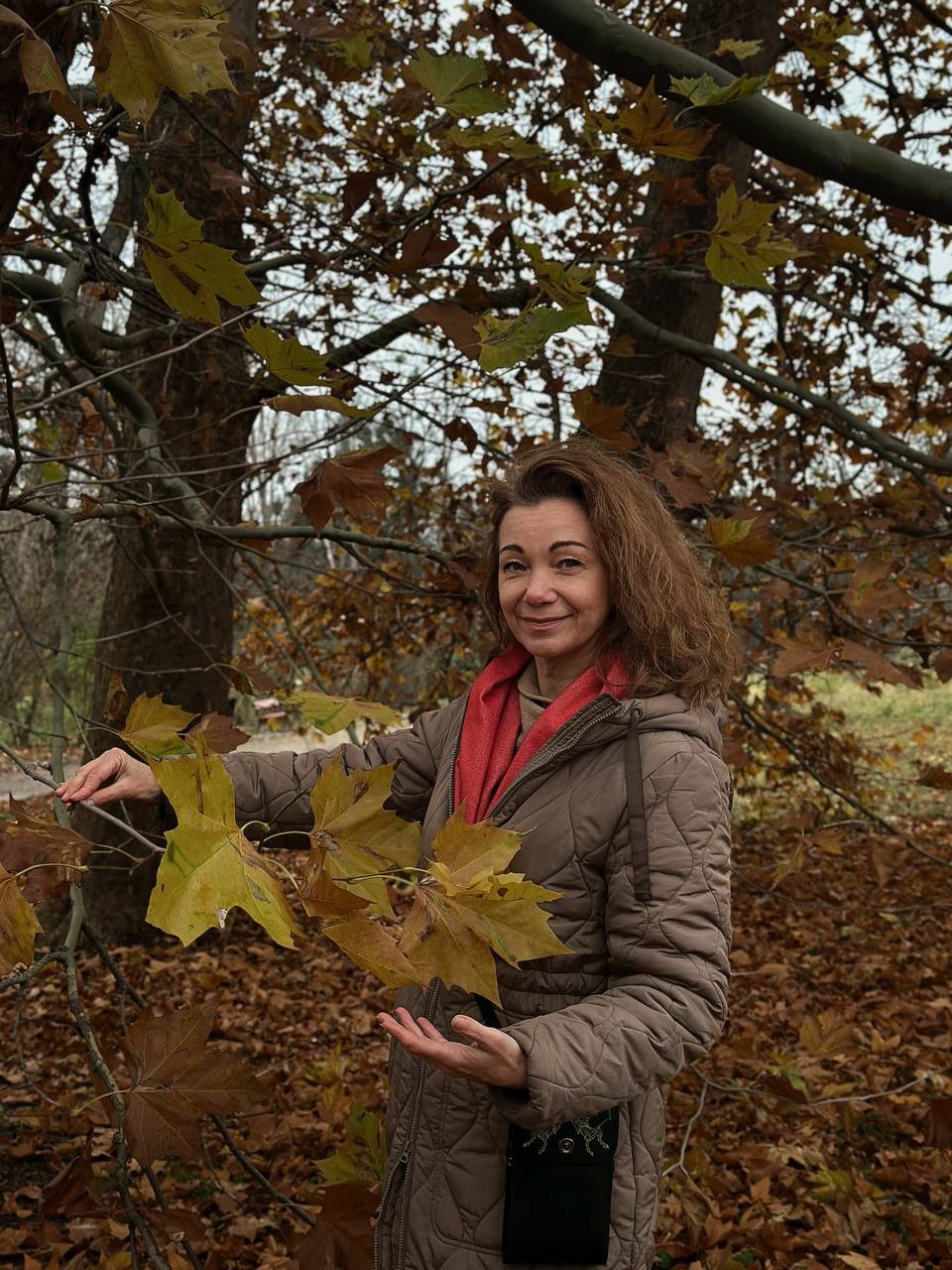 Парки Олександрія та Буки