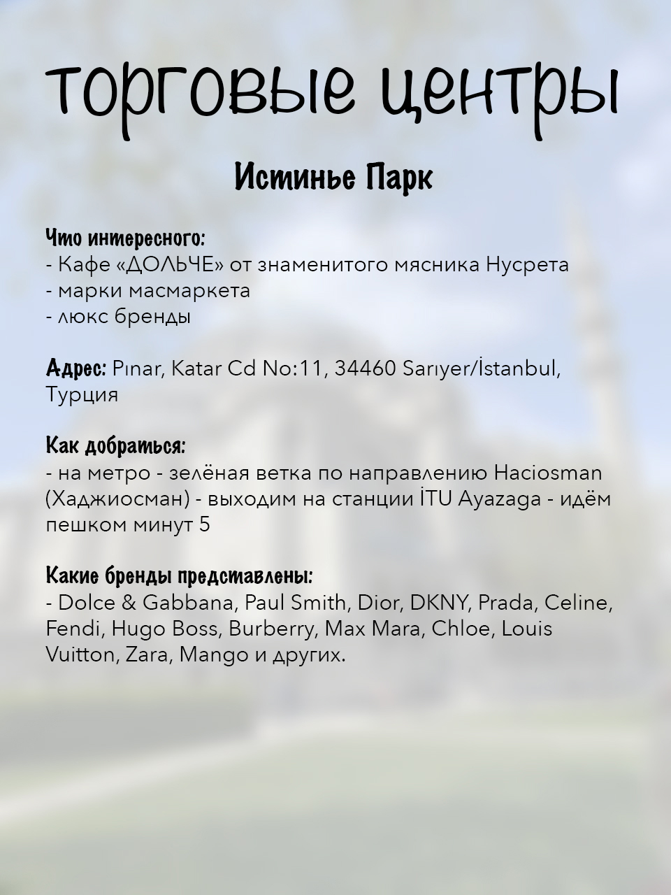 Стамбул шопінг